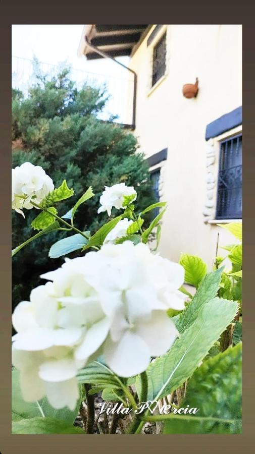 Villa Polercia 쿠펠로 외부 사진